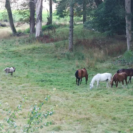 Apartman Les Hortensias *