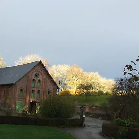 Les Hortensias * Beauquesne