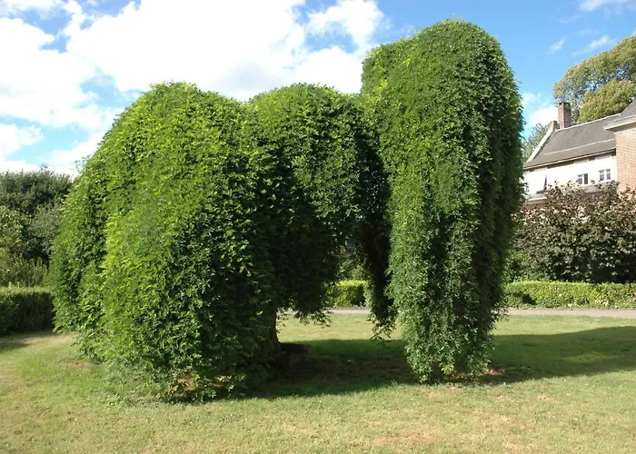 Apartament Les Hortensias *