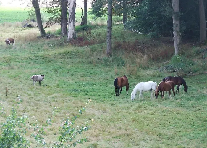 Apartament Les Hortensias *
