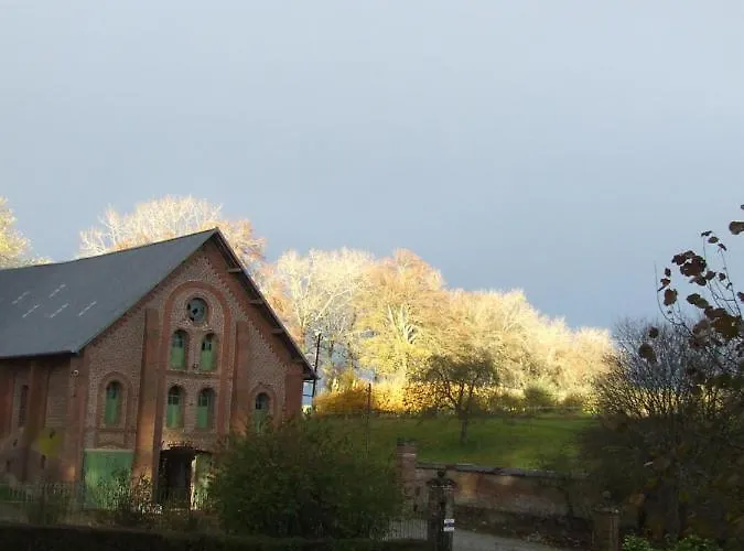 Les Hortensias * Beauquesne